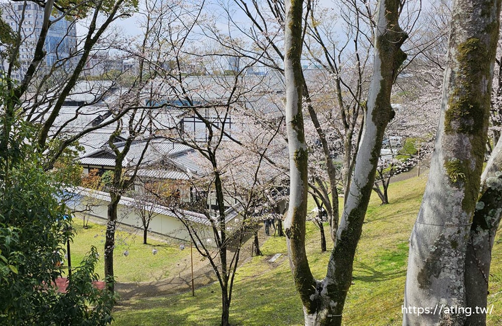 熊本郵輪岸上觀光帶你一日玩遍熊本城、櫻花馬場城彩苑、水前寺庭園！