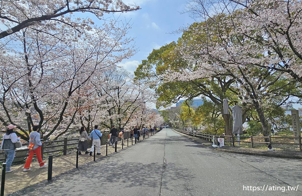 熊本郵輪岸上觀光帶你一日玩遍熊本城、櫻花馬場城彩苑、水前寺庭園！
