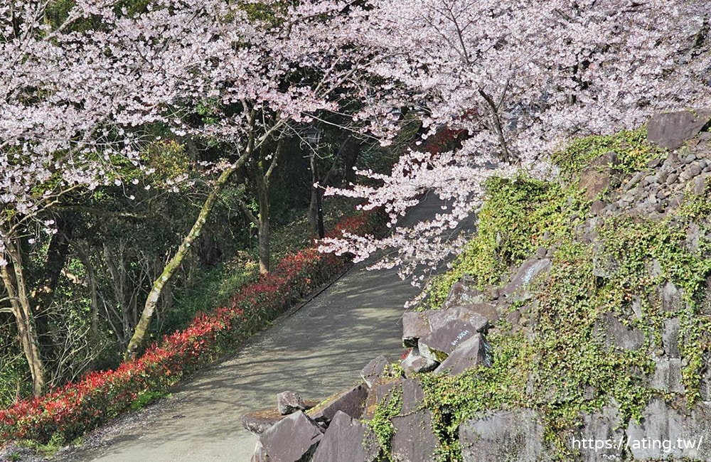 熊本郵輪岸上觀光帶你一日玩遍熊本城、櫻花馬場城彩苑、水前寺庭園！