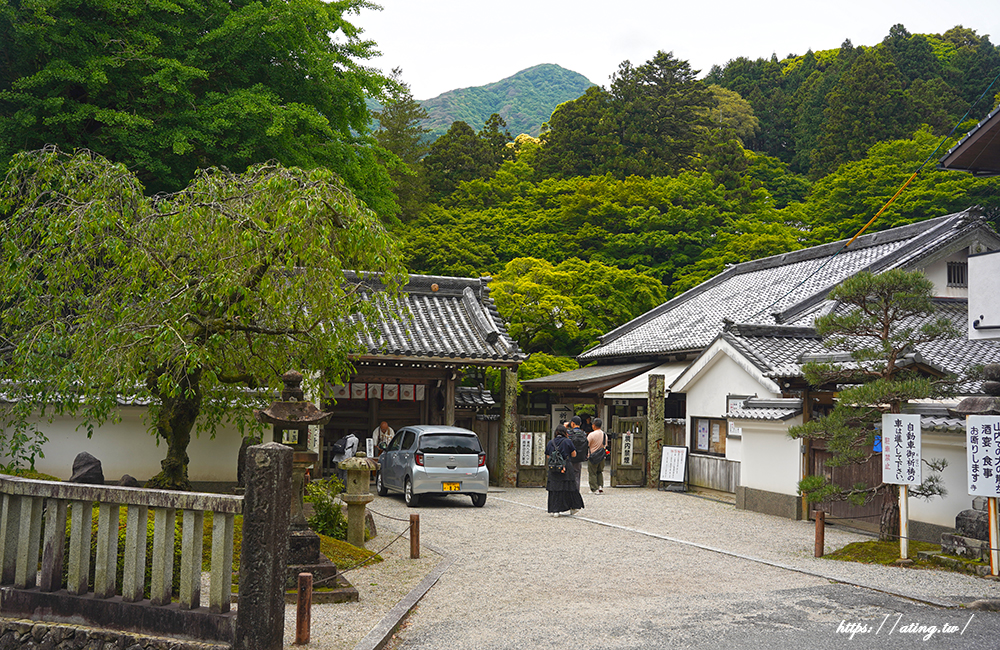 福岡「糸島絕景之旅一日遊」一蘭之森夢幻竹林、櫻井二見浦白色鳥居、博多運河城
