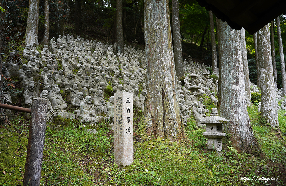 福岡「糸島絕景之旅一日遊」一蘭之森夢幻竹林、櫻井二見浦白色鳥居、博多運河城