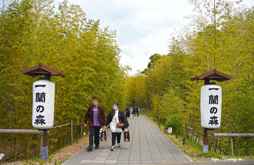 福岡「糸島絕景之旅一日遊」一蘭之森夢幻竹林、櫻井二見浦白色鳥居、博多運河城