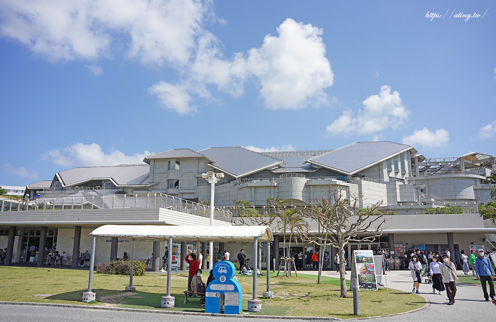 Okinawa Churaumi Aquarium 04