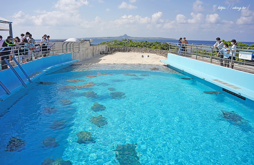 Okinawa Churaumi Aquarium 06
