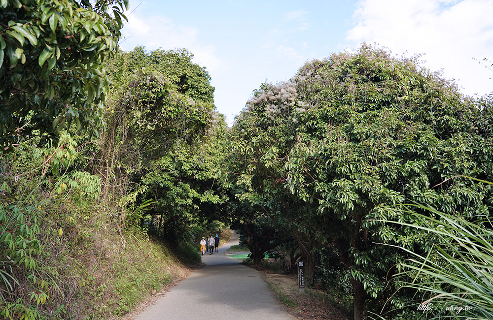 Taichung City Darken Hiking Trail no 9 06