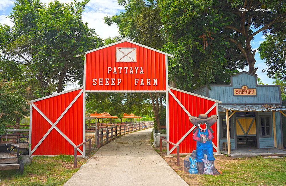 family park pattaya sheep farm 15