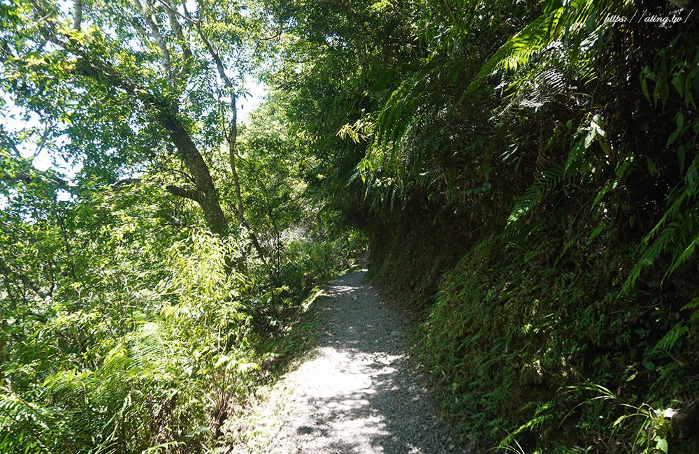 linmei shipan trail 06