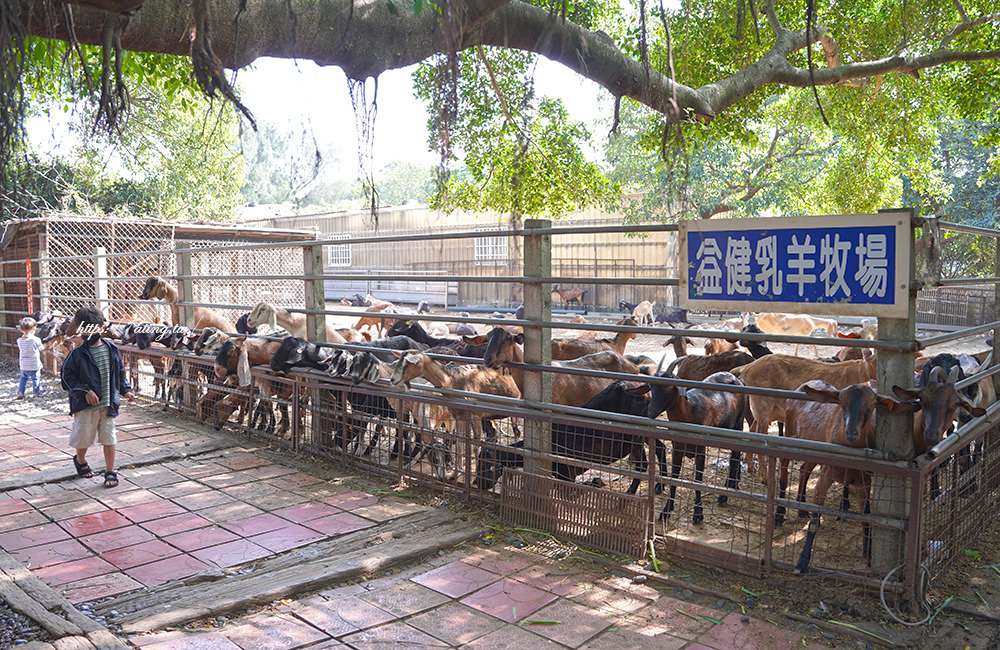 taichung Metropolitan Park goat milk 01