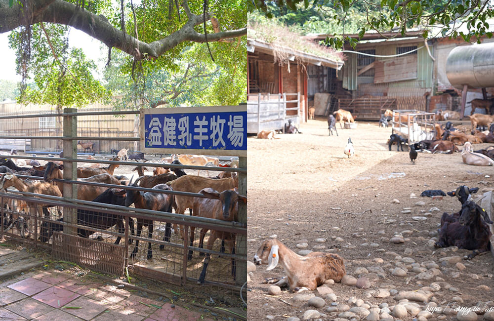 taichung Metropolitan Park goat milk 15